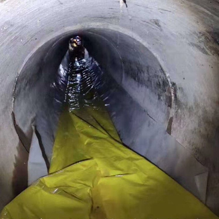 汤旺河管道光固化修复